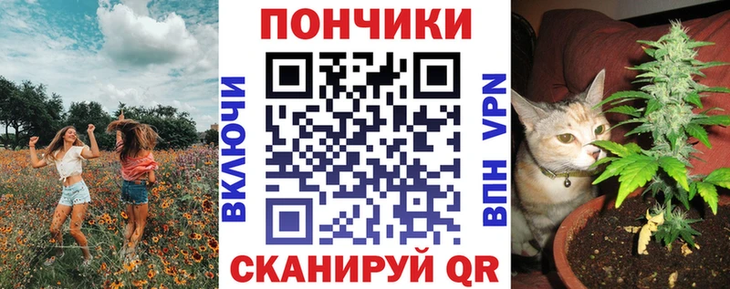 Наркота Весьегонск Марихуана  Кокаин  ГАШ  Псилоцибиновые грибы  Меф мяу мяу 