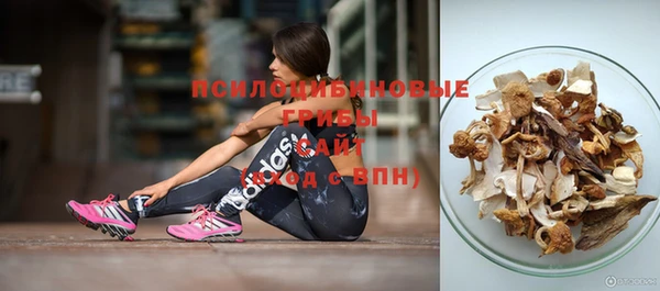 Альфа ПВП Абдулино