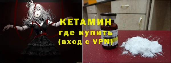 сатива Сатка